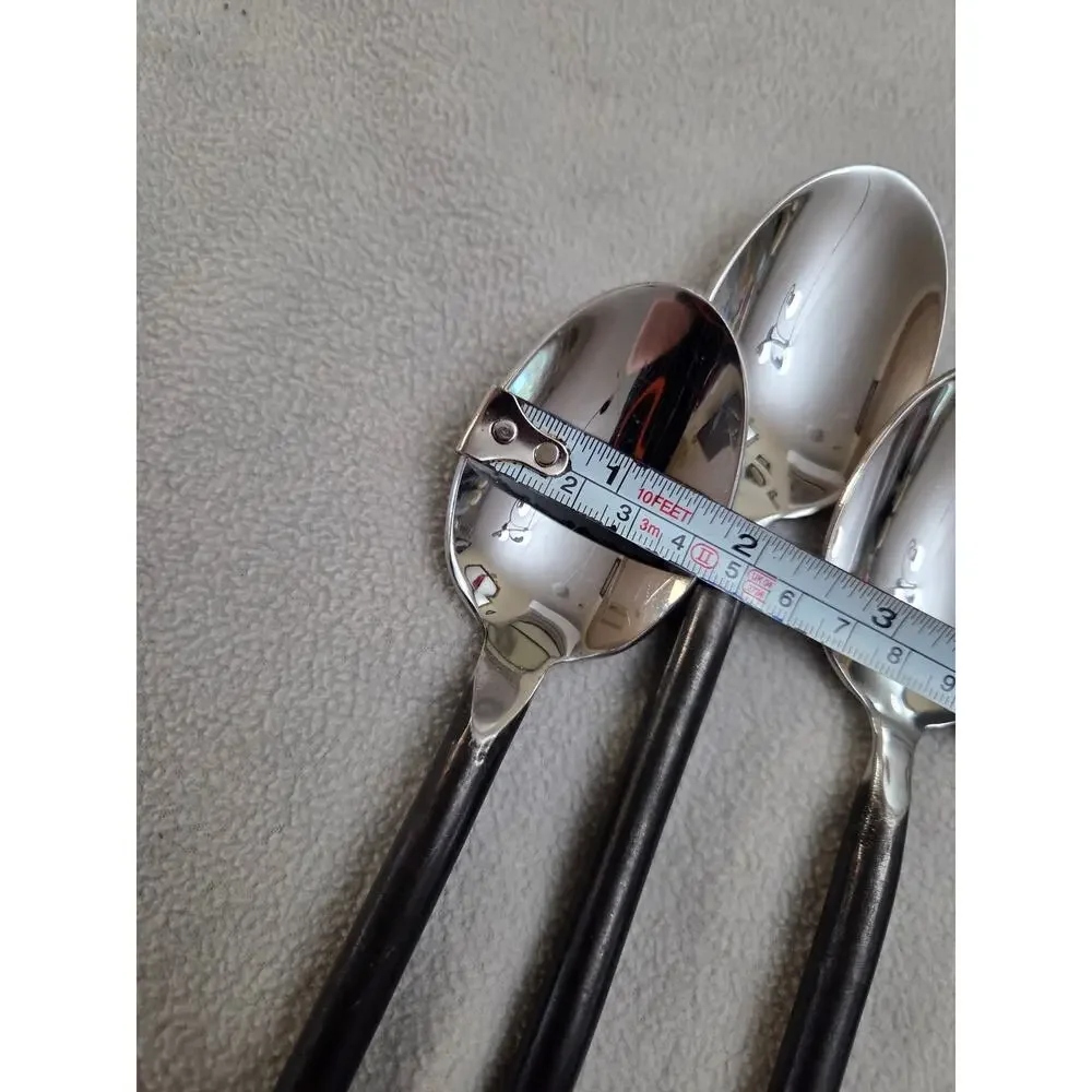 Set 4 Gourmet Settings Exotique Platinum 18/10 Stainless LARGE SPOONS